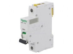 &Icirc;ntrerupător Supracurent 230V 40A 1P Tip B