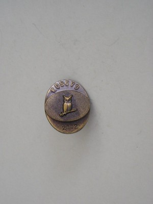 QW9 N 12 - insigna - militar - misune Kosovo 2002 - bufnita pe spada foto
