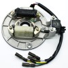 Magnetou Stator Aprindere 2 Bobine ATV 107 110cc, Semering Inclus, 5 Fire, Distanta 101mm, Diametru 115mm