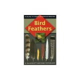 Bird Feathers: A Guide to North American Species
