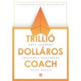 Trilli&oacute; doll&aacute;ros coach - Alan Eagle