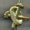 Y 1721 INSIGNA - MILITARA -SEMN DE ARMA - AUTO -PENTRU COLECTIONARI