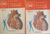 Arta de a trai a coronarianului Vol. 1-2 - Arthur Karassi - Medicina, 1988, Paperback, Romana