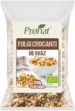 Fulgi crocanti din ovaz Bio, 250g, Pronat