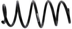 SACHS 993 797 Arc spiral