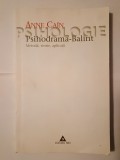 Anne Cain - Psihodrama-Balint: metodă, teorie, aplicații