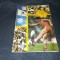 PROGRAM FOTBAL DINAMO KUUSYSI
