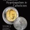 The Road from Hyperpapalism to Catholicism: Rethinking the Papacy in a Time of Ecclesial Disintegration: Volume 2 (Chronological Responses to an Unfol