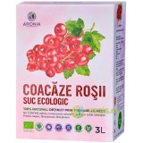 Suc de Coacaze Rosii Ecologic/Bio 3L