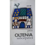 PRIN OLTENIA SUBCARPATICA. GHID-I. IONESCU-DUNAREANU-237104