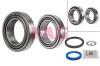 FAG 713 6670 10 Set rulment roata