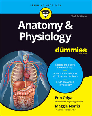 Anatomy and Physiology for Dummies foto
