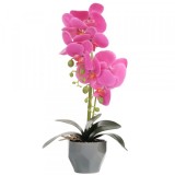 Orhidee Artificiala Div.Culori Ghiveci Ceramic 50x12cm Wei A80101 DNC50355
