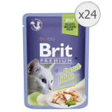 Hrana umeda pentru pisici Brit Premium Delicate, Pastrav in Aspic, 24x85g