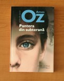 Amos Oz - Pantera din subterană