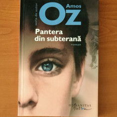 Amos Oz - Pantera din subterană