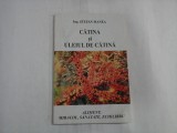 CATINA si ULEIUL DE CATINA - Stefan MANEA