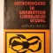 Cornel Ailincăi - Introducere &icirc;n gramatica limbajului vizual