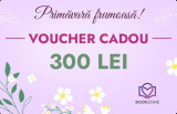 Voucher Cadou 300 Lei