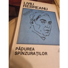 Liviu Rebreanu - Padurea Spanzuratilor