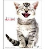 Kittens &amp; Kittens | Jane Burton