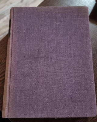 TAMADUIRE PRIN SPIRIT - STEFAN ZWEIG foto