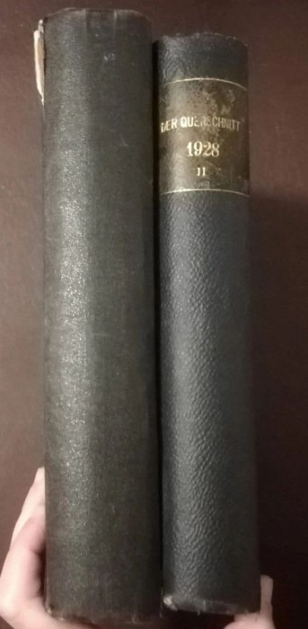Der Querschnitt VIII, 6 Nr. + IX. Jahrgang, 6 luni iulie-decembrie 1929