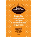 Kognit&iacute;v viselked&eacute;ster&aacute;pia a mindfulness jegy&eacute;ben - Egyszerű &uacute;tmutat&oacute; a gy&oacute;gyul&aacute;s, rem&eacute;ny &eacute;s lelki b&eacute;ke fel&eacute; - Seth J. Gillihan