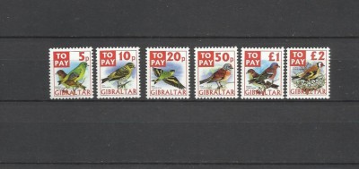 GIBRALTAR 2002 FAUNA PASARI foto