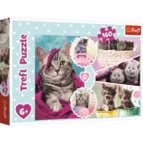 PUZZLE TREFL 160 PISICI DRAGALASE