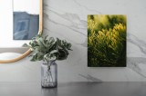Tablou Canvas, "Strălucirea misterioasă a ramurilor de pin", Frumusețe, Natură, Verde, Frunze, Delicat, Luminos, Calm, Vigoros, Textură, Natural, Pini