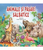 Animale si pasari salbatice, Andreas