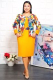 Rochie Gavis Stil Compleu MustarMarimea, Yves
