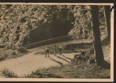 CPI B13610 CARTE POSTALA - VEDERE SPRE POIANA STALIN (BRASOV), RPR foto