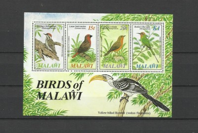 MALAWI 1985 FAUNA PASARI foto