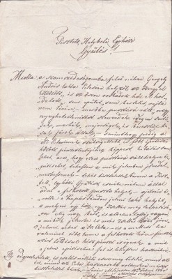 A3769N Pl&amp;acirc;ngere &amp;icirc;mpotriva unui vecin, T&amp;acirc;rgu Lăpuș, 1860, limba maghiară/Magyar nyelvű okirat, Magyarlapos, 1860 foto