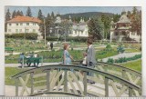 Bnk cp Borsec - Vedere - uzata, Circulata, Printata
