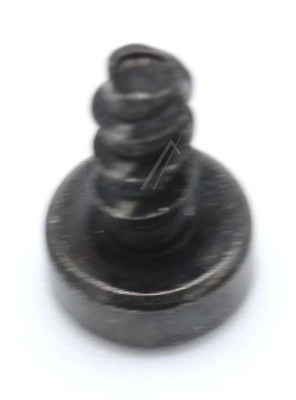 SCHRAUBE M2.5X6-T8 965832-01 Aspirator vertical Dyson V8 Absolute DYSON foto