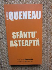 Sfantu' Asteapta - Raymond Queneau, Editura Univers, 2006, Roman, Beletristica