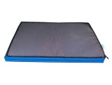 Covor dezinfectie pentru incaltaminte 60 x 90 x 4 cm | PEsan