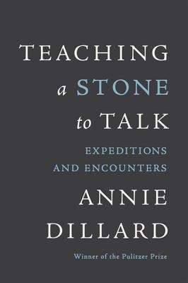Teaching a Stone to Talk: Expeditions and Encounters foto