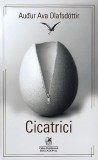 Cicatrici | Audur Ava Olafsdottir