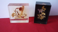 FLORI ADEVARATE IN RASINA, DEAGOSTINI LOT 2 BUC.