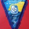 Fanion (de protocol) fotbal - FC Cernomoreț Odesa (Ucraina)