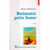 Dima Bicleanu - Buimatic prin lume - roman - 121818, Polirom, Gheorghe Schwartz