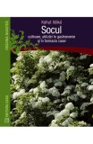 Socul: Cultivare utilizari in gastronomie si in farmacia casei - Casa