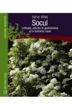 Socul: Cultivare utilizari in gastronomie si in farmacia casei, Casa