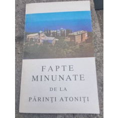 Fapte Minunate de la Parinti Atoniti