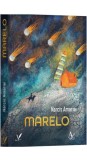 Marelo Paperback brosat Editura pentru Artă și Literatură Narcis Amariei scriitura camera secretelor