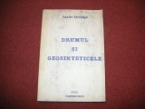 VASILE STRUNGA - DRUMUL SI GEOSINTETICELE - TEHNOLOGII DE EXECUTIE - 2000